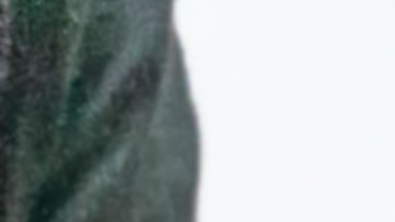 Material fonoabsorbente.