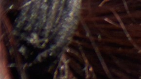 Foto de una mujer llamando por teléfono durante un accidente