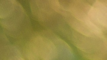 licencia de conducir para indocumentados en utah