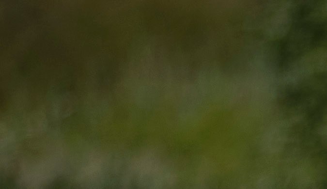 2023 Bronco Sport Heritage Edition