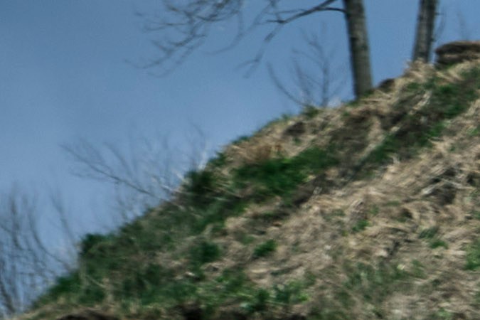 Ford Maverick Tremor 2023