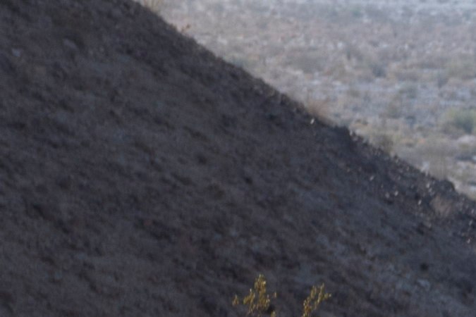 Chevrolet Colorado 2023