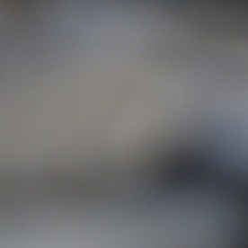 Bujía mojada de aceite.