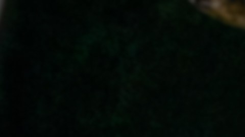 Cambio de filtro de aceite.