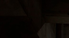 Dodge Challenger y Dodge Charger