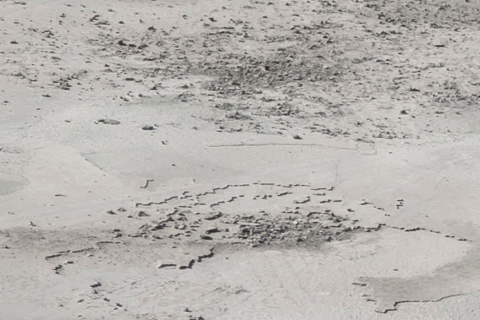 Aston Martin V12 Vantage Roadster