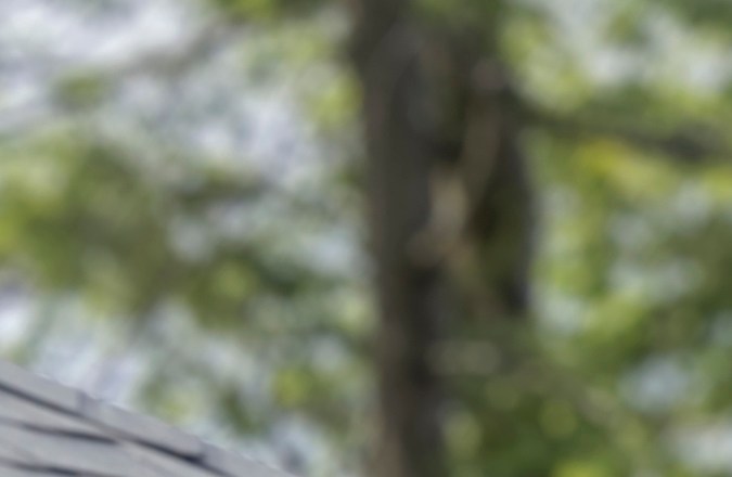 Chevrolet Silverado 2500 HD 2024