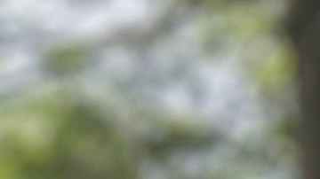 Chevrolet Silverado 2500 HD 2024