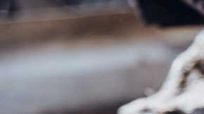 La banda dentada resulta cable en el funcionamiento de un motor