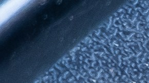 Deposito de líquido de frenos.