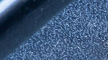 Deposito de líquido de frenos.