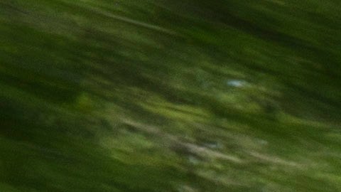 Ford F-150 Lightning