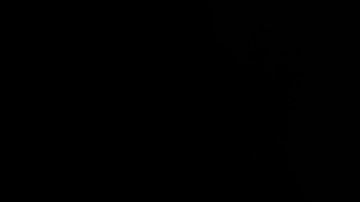 Velocidad L en la palanca