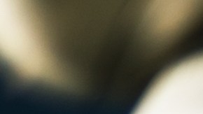 licencia cdl clase c florida