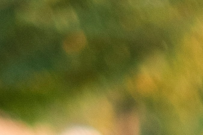 Deberá reunir varios documentos y llevarlos a una oficina del Departamento de Servicios al Conductor (DDS) de Georgia