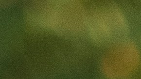 Deberá reunir varios documentos y llevarlos a una oficina del Departamento de Servicios al Conductor (DDS) de Georgia