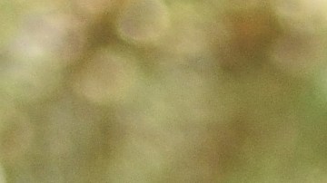 Foto de una mujer mayor conduciendo