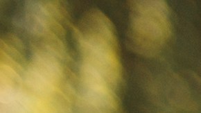 Foto de un oficial de policía imponiendo una multa a una mujer que conduce un vehículo