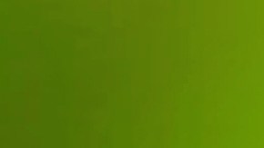 Llantas de verano e invierno.