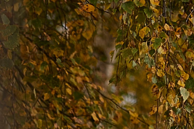 Jeep Avanger 4x4 Concept