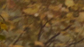 Jeep Avanger 4x4 Concept