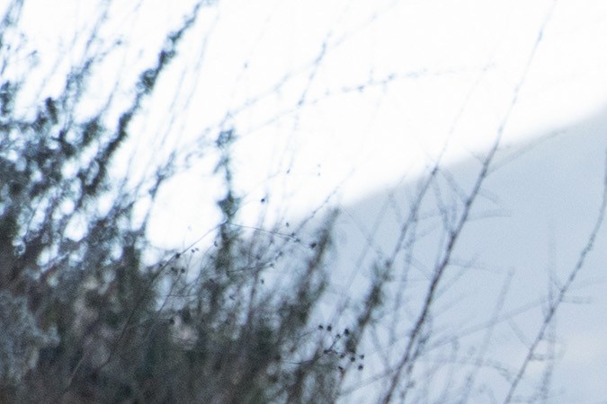 Reducción de potencia y se prende a la par fallo de stabilitrak terrain