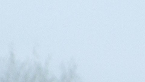 Carretera con neblina.