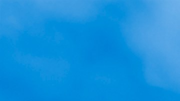 Cámaras de policía.