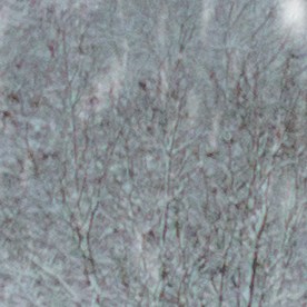 Conducción sobre nieve.