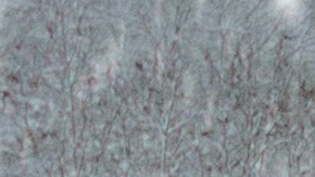 Conducción sobre nieve.