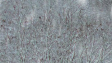 Conducción sobre nieve.