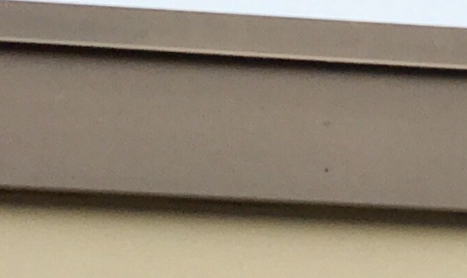 marcas o designaciones especiales a su licencia en California