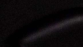 Mascotas dentro del auto.