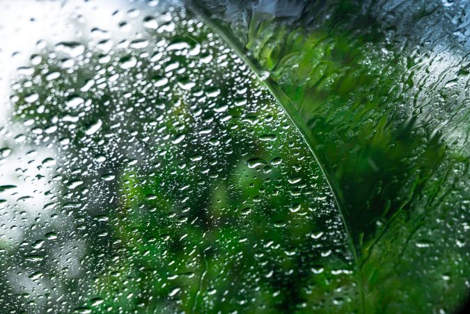 Лобовое стекло, пропускающее воду.