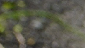 Pintura de auto desgastada.