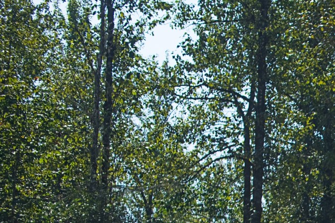 Ram 2500 HD Rebel 2023