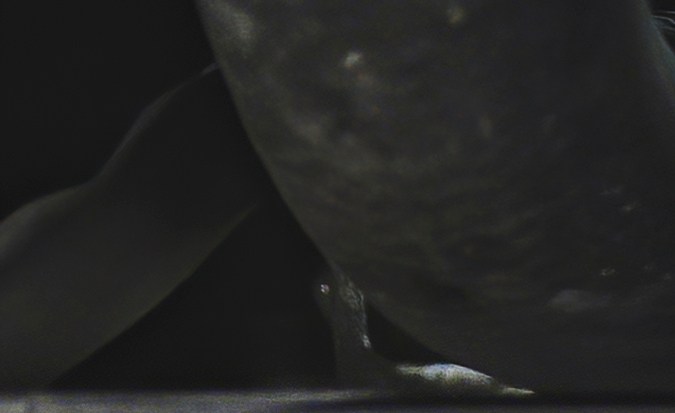 fuga de aceite caja automatica