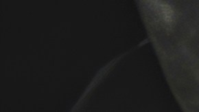 Transmisión automática.