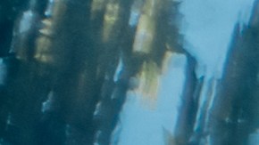 Foto de un adolescente mostrando su licencia de conducir