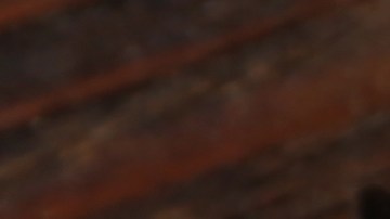 Licencia de conducir en Texas: cómo programar una cita en el DMV