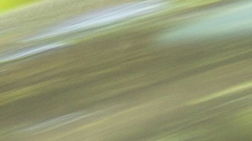 licencia de conducir en texas para adolescentes