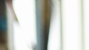 inspeccion de vehiculos en north carolina