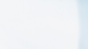 licencia cdl requisitos