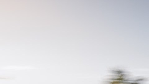Kia Seltos 2024