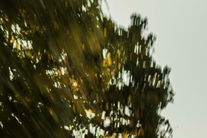 Audi Q8 e-tron quatrro