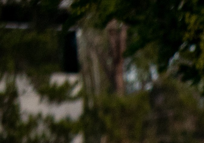 Examen de manejo en California 2023