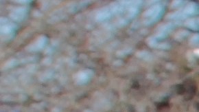 Lavado de auto en invierno.