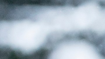 Llantas para el invierno.