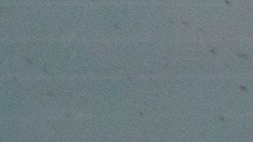 Muchos conductores en Thanksgiving.