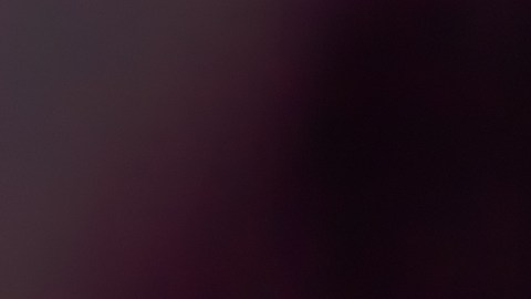 Palanca de cambios.